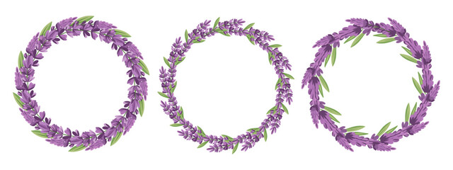 Set of lavender wreaths on a white background. Collection of floral round frames. Illustration for a wedding invitation, postcard, logo.
