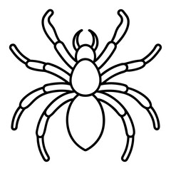 Tarantula line art vector