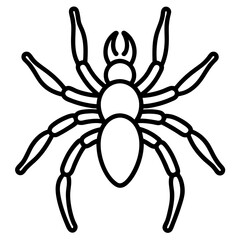 Tarantula line art vector