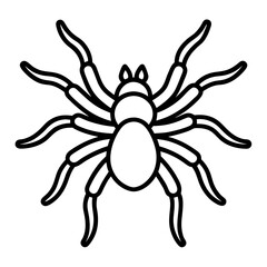 Obraz premium Tarantula line art vector