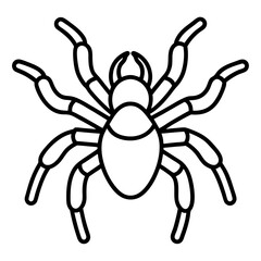 Tarantula line art vector