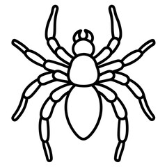 Tarantula line art vector