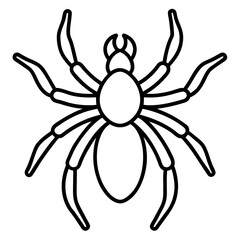 Tarantula line art vector
