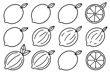 Lemon line art simple modern fruit drawing