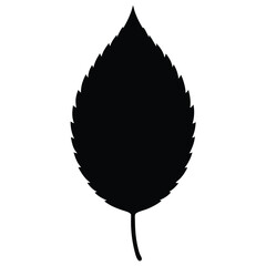 hornbeam Leaf Silhouette Vector - Minimalist Nature Design