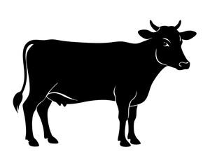 Fototapeta premium Cow Vector Silhouettes & SVG Icon