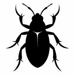 vector illustration of a black beetle
