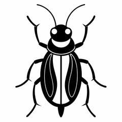 Beetle vector on white background