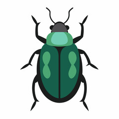 green beetle isolated on white background