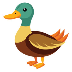 Duck isolated clipart on white background