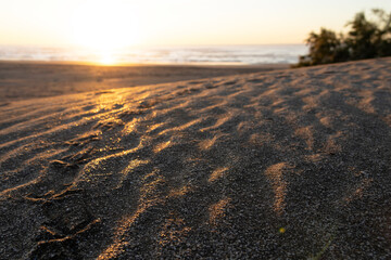 A trail of bird footprints in the sand on the beach with wavy marks caused by the wind and a golden color due to the sun rising over the sea