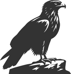 Obraz premium Silhouette of a hawk bird animal vector