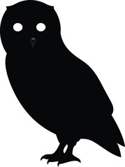 Owl bird silhouette with white background