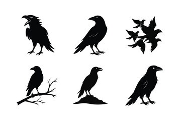 Raven Bird silhouette vector bundle  illustration