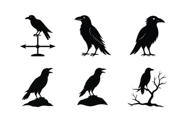 Raven Bird silhouette vector bundle  illustration