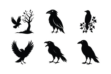 Raven Bird silhouette vector bundle  illustration
