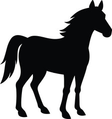 horse silhouette black colour with white background