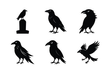 Raven Bird silhouette vector bundle  illustration