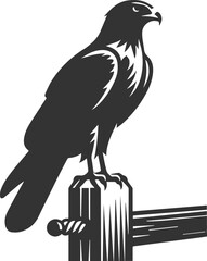 Naklejka premium Silhouette of a hawk bird animal vector