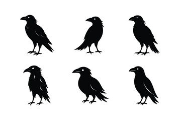 Raven Bird silhouette vector bundle  illustration
