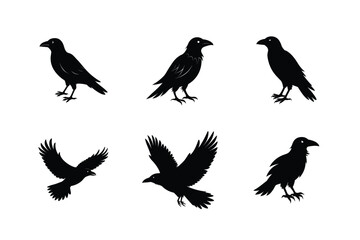 Raven Bird silhouette vector bundle  illustration