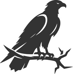 Silhouette of a hawk bird animal vector