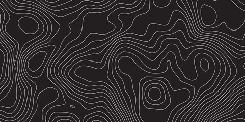  Modern Cartographic Statement: Abstract Wavy Topographic Patterns in a Luxury-Inspired Design Featuring Contour Precision and Spatial Elegance on a Striking Matte Black Background"

