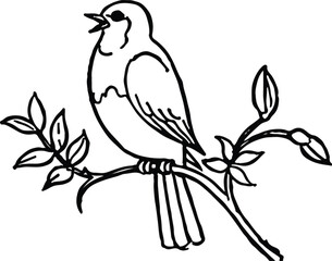  Black And White Bird Drawings
