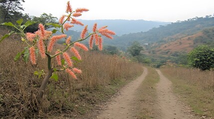 Scenic Dirt Road with Vibrant Pink Flowers and Mountain View