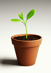 Growing plant sprout in a terracotta pot against a neutral background  