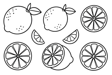  lime line art fresh fruit design in simplicity.