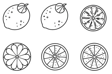 lime line art tropical fruit outlined in detail.