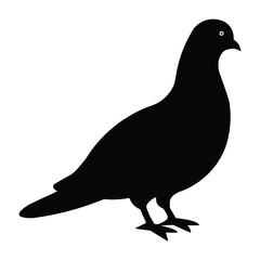 Black color pigeon silhouette vector graphics design.