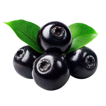 A close up of shiny java plums with leaves on a dark background on transparent background