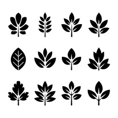 Leaf Silhouette Vector Bundle Black and White Leaf Clipart EPS Illustration