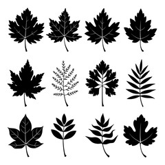 Fototapeta premium Leaf Silhouette Vector Bundle Black and White Leaf Clipart EPS Illustration