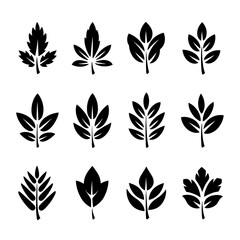 Fototapeta premium Leaf Silhouette Vector Bundle Black and White Leaf Clipart EPS Illustration