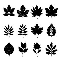 Leaf Silhouette Vector Bundle Black and White Leaf Clipart EPS Illustration