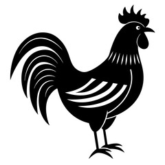 Animal rooster silhouette vector illustrator