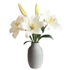 White lily flowers isolated on a Transparent background PNG