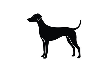Pointer dog icon silhouette on white background