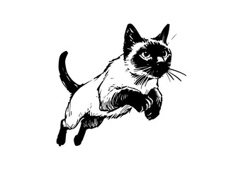 Siamese Cat Hand Drawn Illustration Sketch Vector Isolated for Graphic Resource