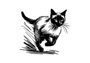 Siamese Cat Hand Drawn Illustration Sketch Vector Isolated for Graphic Resource