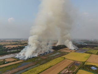 Climate change, Agriculture burning release carbon	