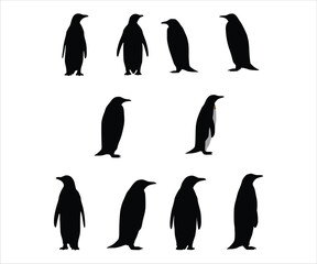 Naklejka premium Penguin outlines featured on a plain white background.