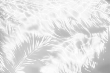 Obraz premium PNG Palm leaves shadow on water background abstract shadows.