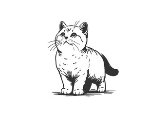 British Shorthair Cat Hand Drawn Illustration Sketch Vector Isolated for Graphic Resource