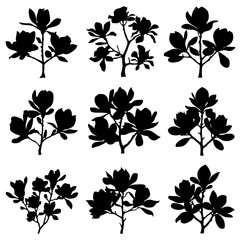 Magnolia Silhouette Vector Bundle Black and White Magnolia Clipart EPS Illustration
