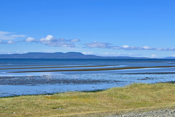 Fauna, flora, and landscapes of the Magallanes and Torres del Paine region