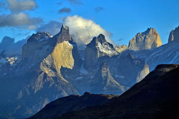 Fauna, flora, and landscapes of the Magallanes and Torres del Paine region